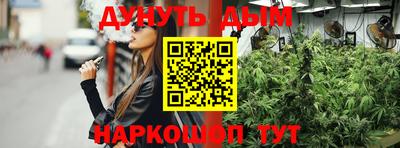 дмт Краснодар