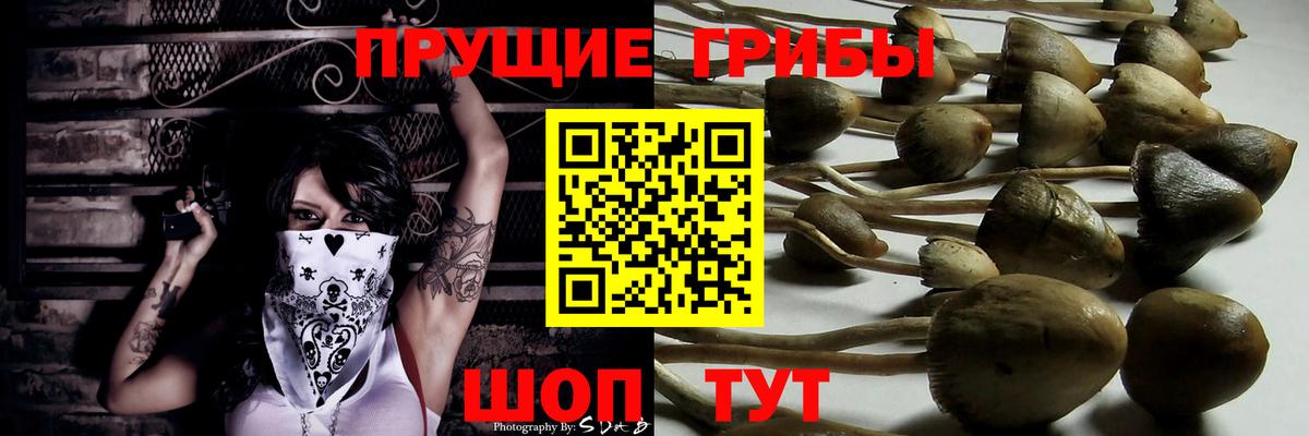 Галлюциногенные грибы GOLDEN TEACHER Котовск
