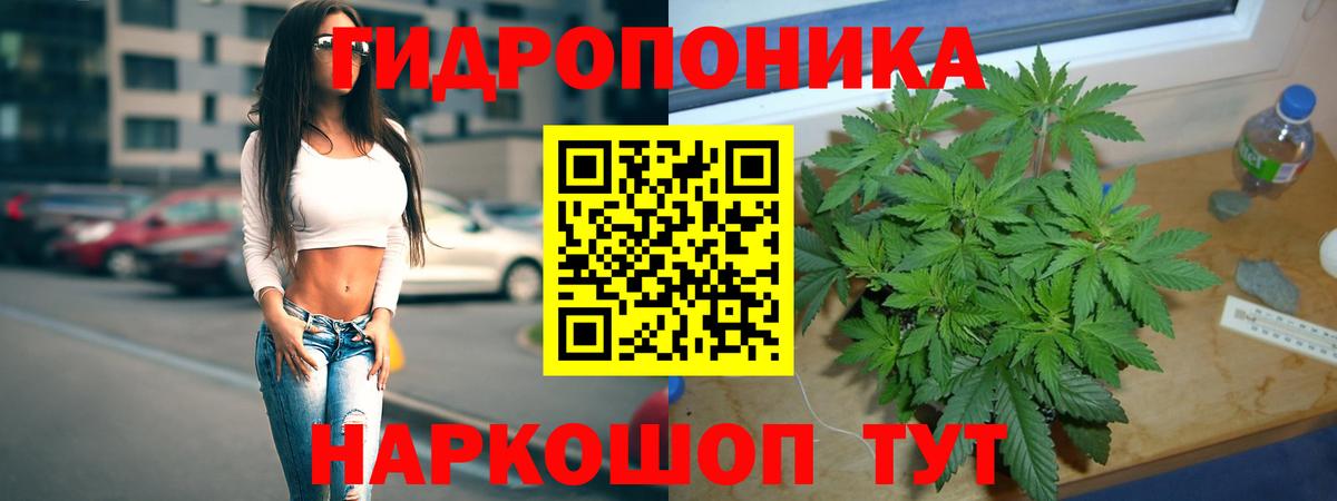 Канабис тримм  Вход с VPN  Бошки Шишки VHQ  Котовск  МАРИХУАНА Amnesia 